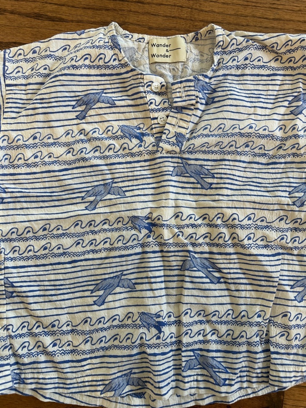 Wander & Wonder RARE 4T Boys Blue Wave-Print Henley Shirt